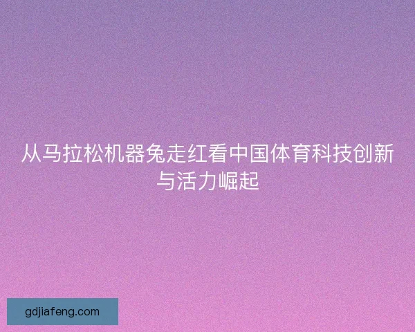 从马拉松机器兔走红看中国体育科技创新与活力崛起